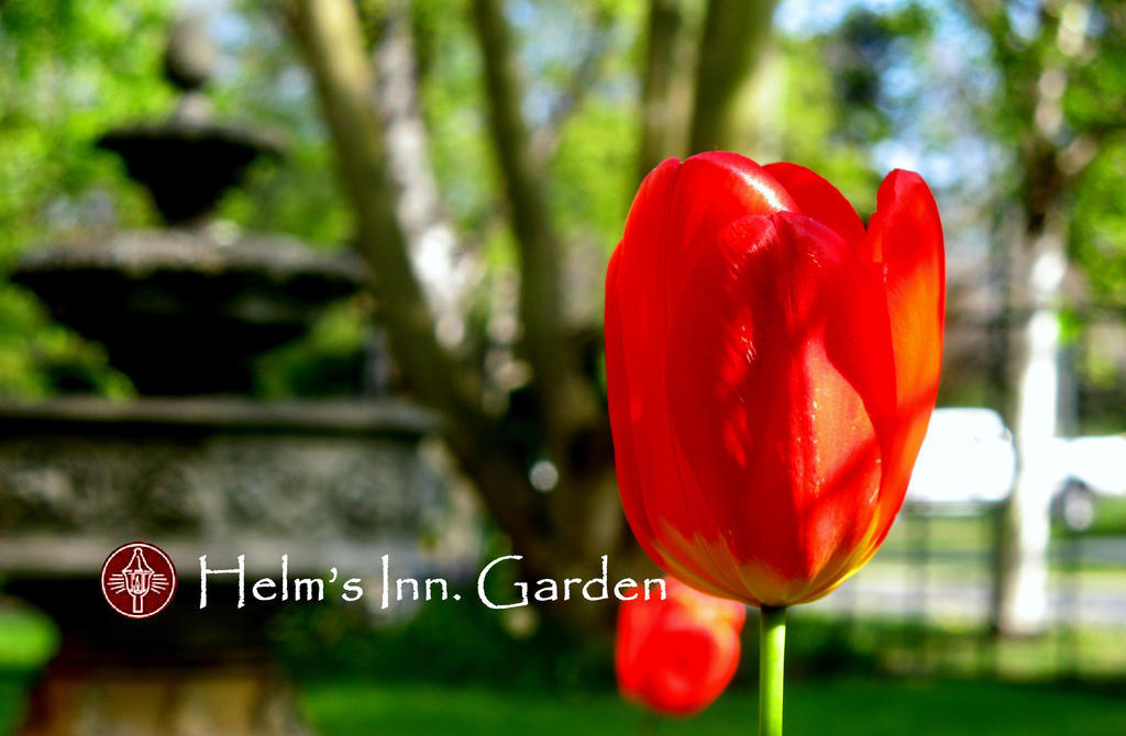 Helm'S Inn Victoria Dış mekan fotoğraf